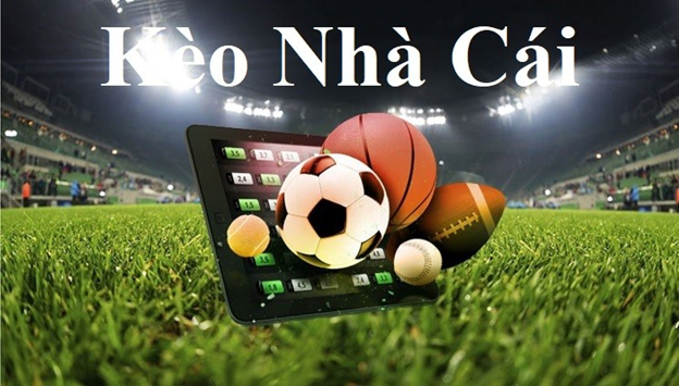 Nha Cai Thuong Mien Phi Cho Tan Thu - Choi Thu Khong Can Nap Nha Cai Thuong Mien Phi Cho Tan Thu - Choi Thu Khong Can Nap